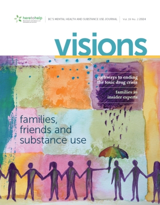 Cover of Visions Magazine Vol,19 n.2